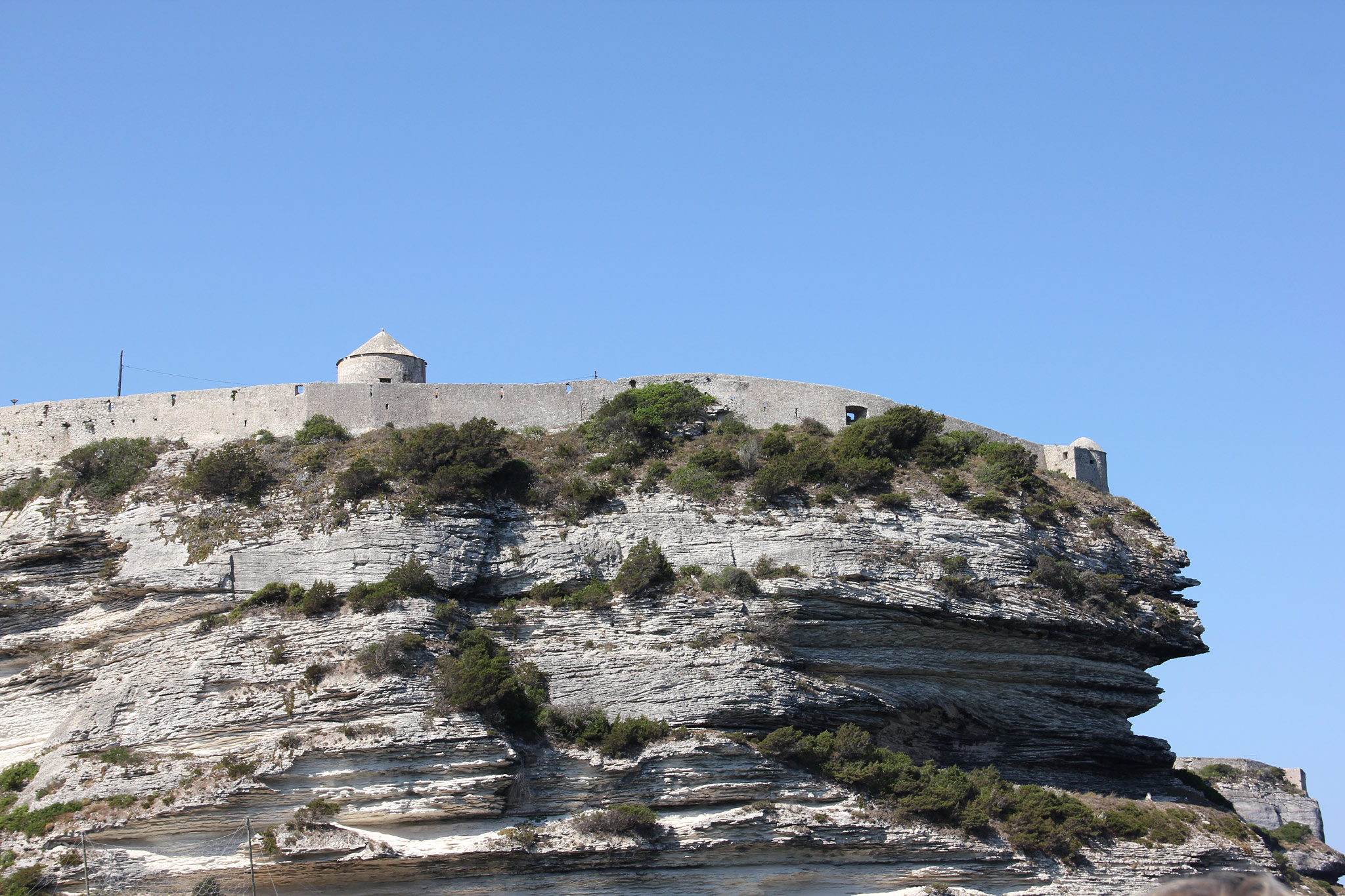 Bonifacio